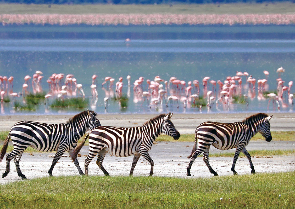 Lake Manyara