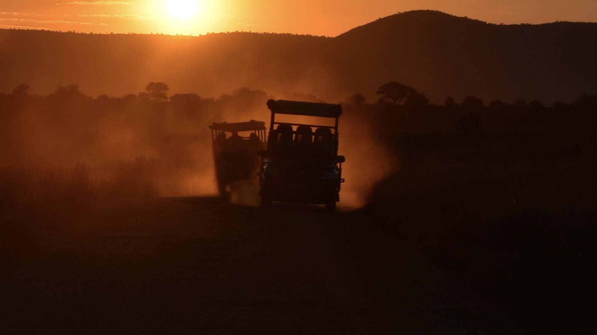 nigt game drive